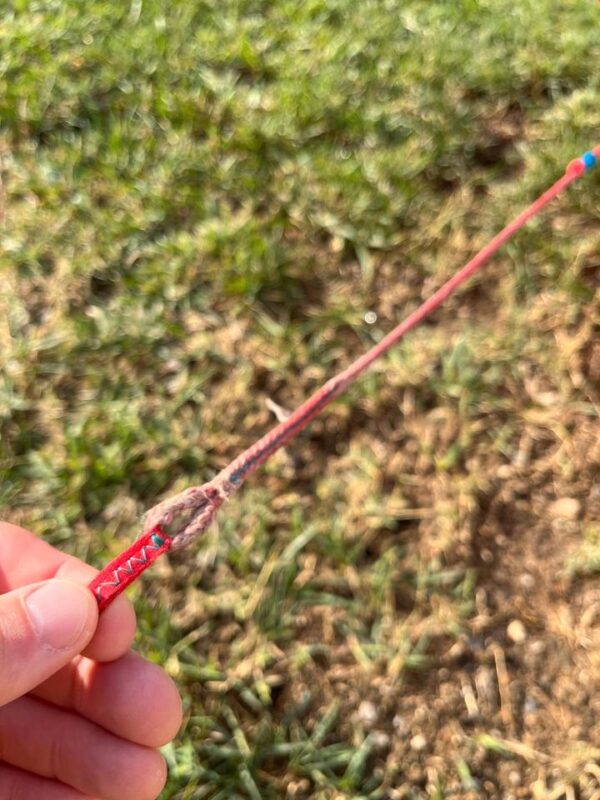 Duotone Rebel 12m Kite 2020